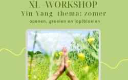 Yin Yang XL Workshop
